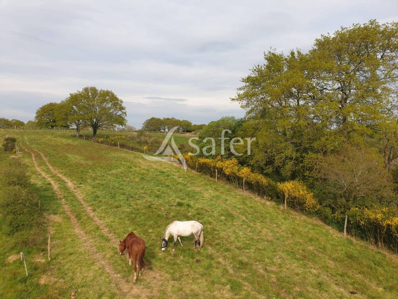 Equestrian property  Loire-Atlantique