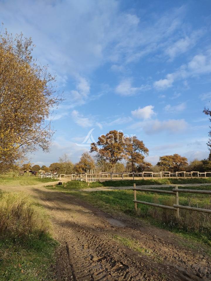 Equestrian property  Loire-Atlantique