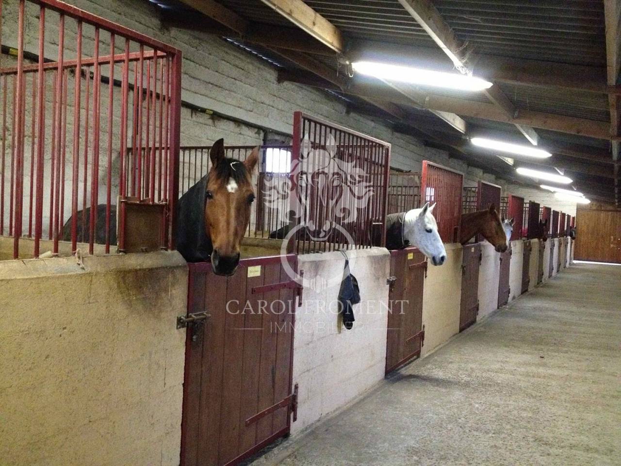 Luxurious equestrian property  Essonne