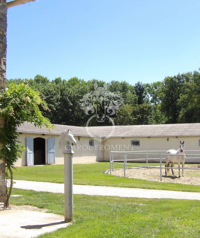 Luxurious equestrian property  Essonne