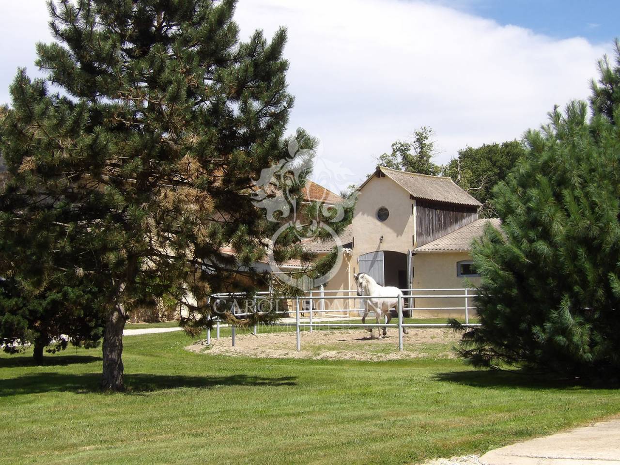 Luxurious equestrian property  Essonne