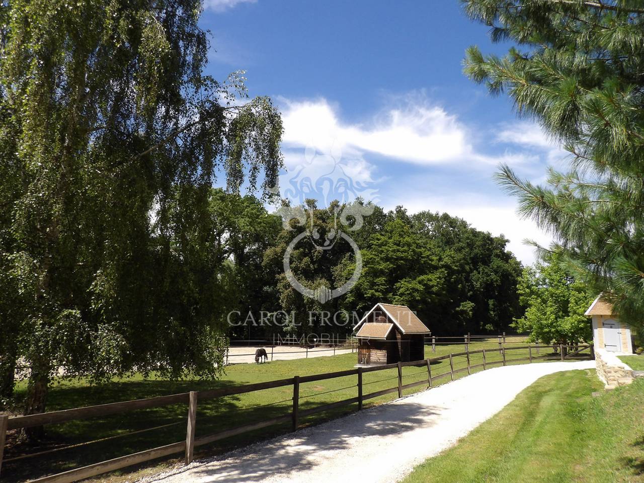 Luxurious equestrian property  Essonne