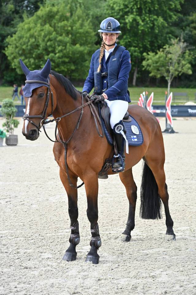 Gelding sBs Belgian Warmblood For sale 2020 Bay