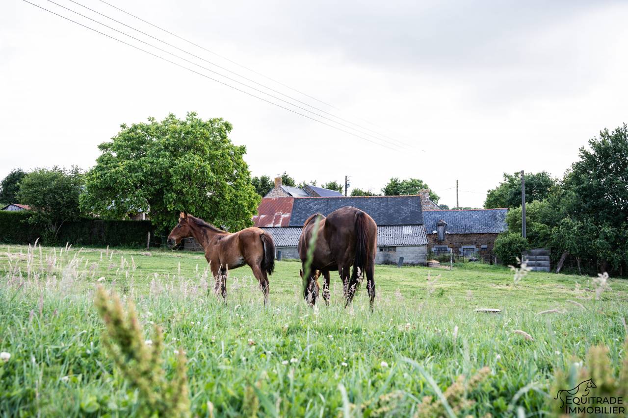 Luxurious equestrian property  Ile-et-Vilaine