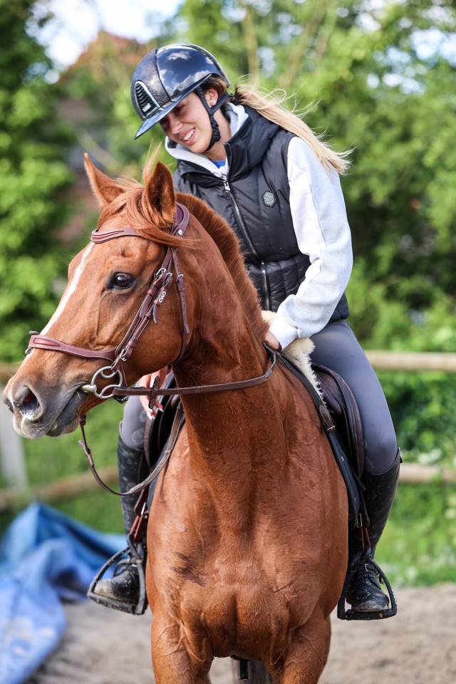 Mare Thoroughbred For sale 2021 Liver chestnut