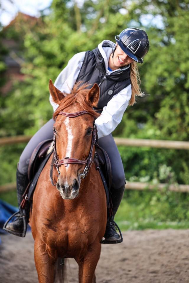 Mare Thoroughbred For sale 2021 Liver chestnut