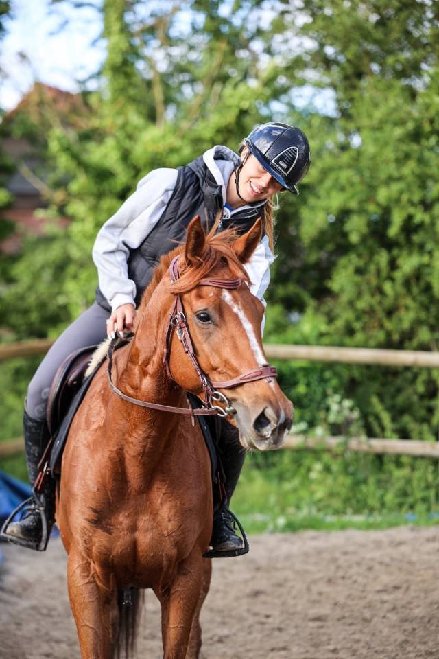 Mare Thoroughbred For sale 2021 Liver chestnut
