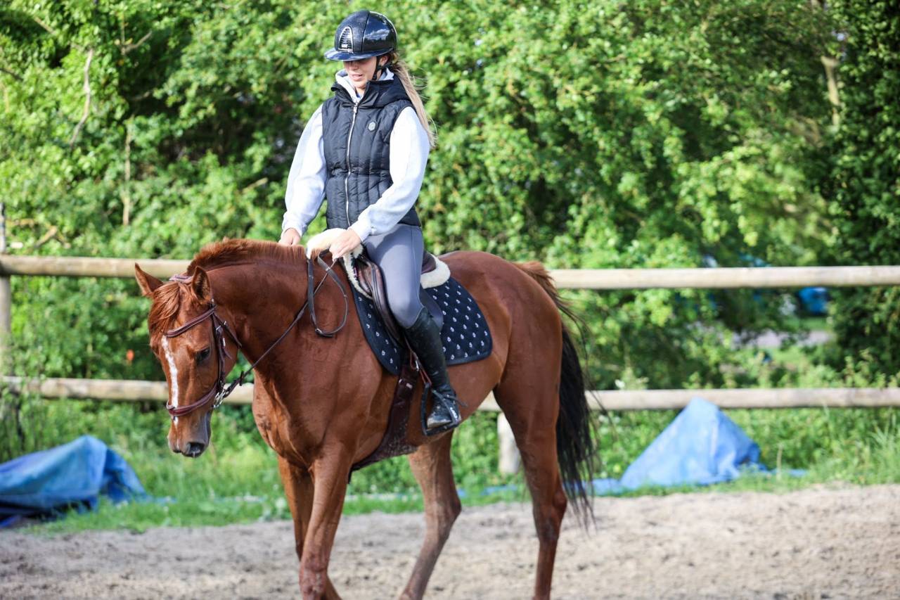 Mare Thoroughbred For sale 2021 Liver chestnut