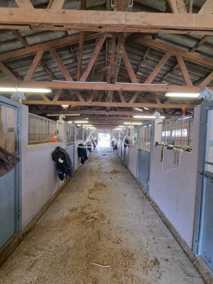 Equestrian property  H&eacute;rault