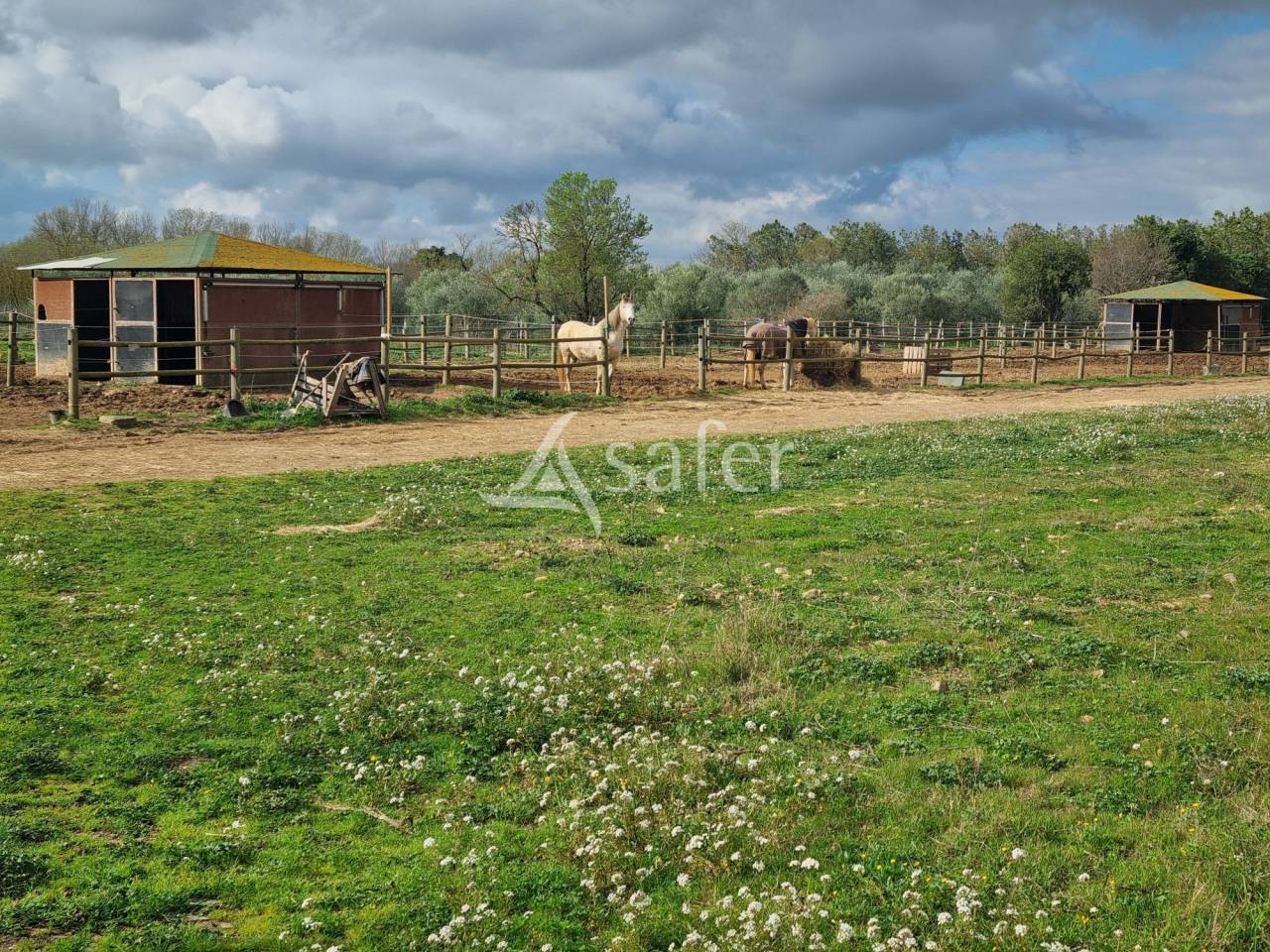 Equestrian property  H&eacute;rault