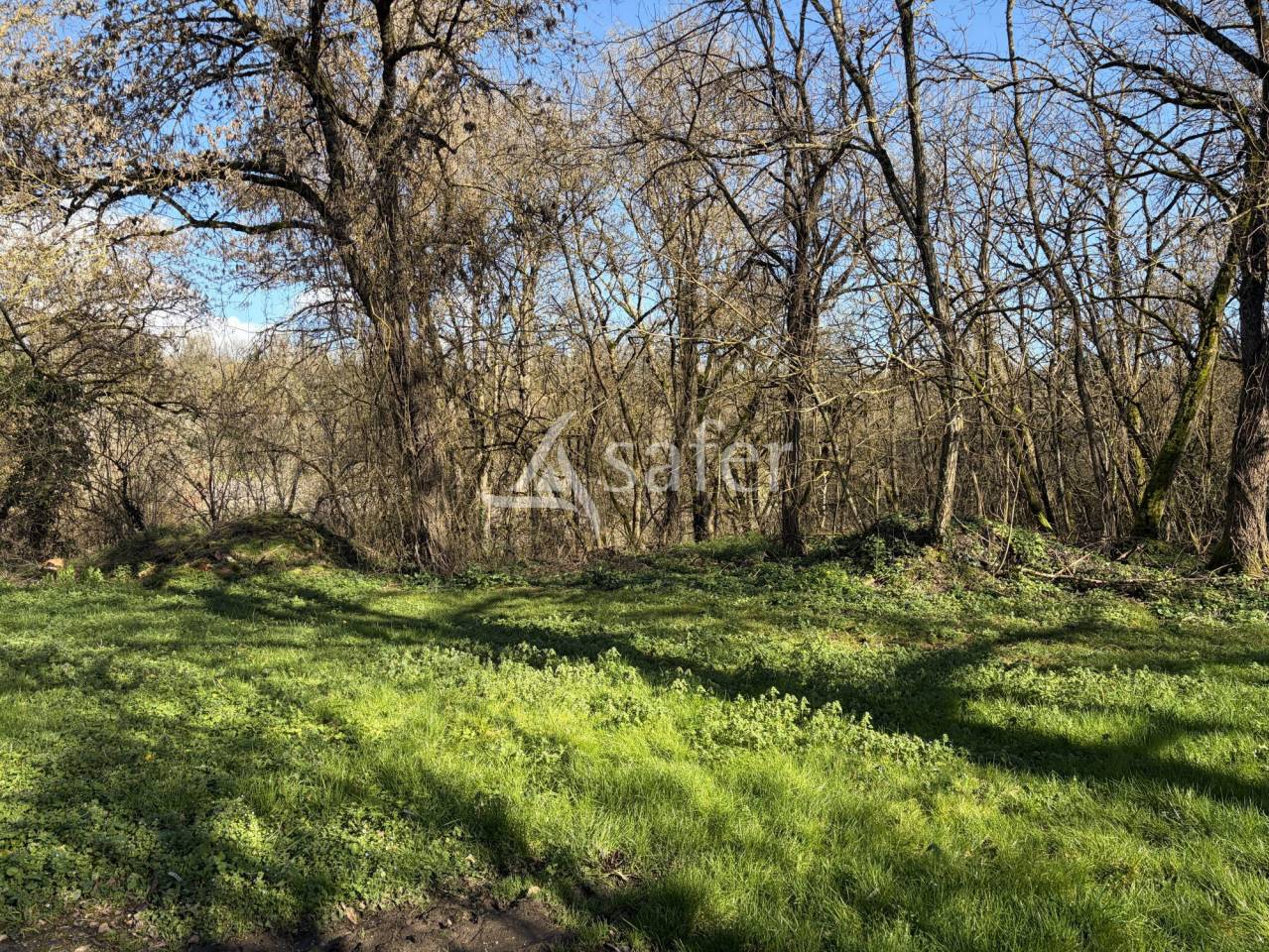 Other agricultural property  Lot-et-Garonne