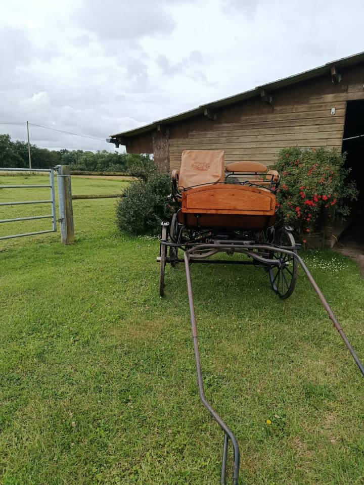 Carriage - Wagonnette - Other brand - Wagonette loisir 