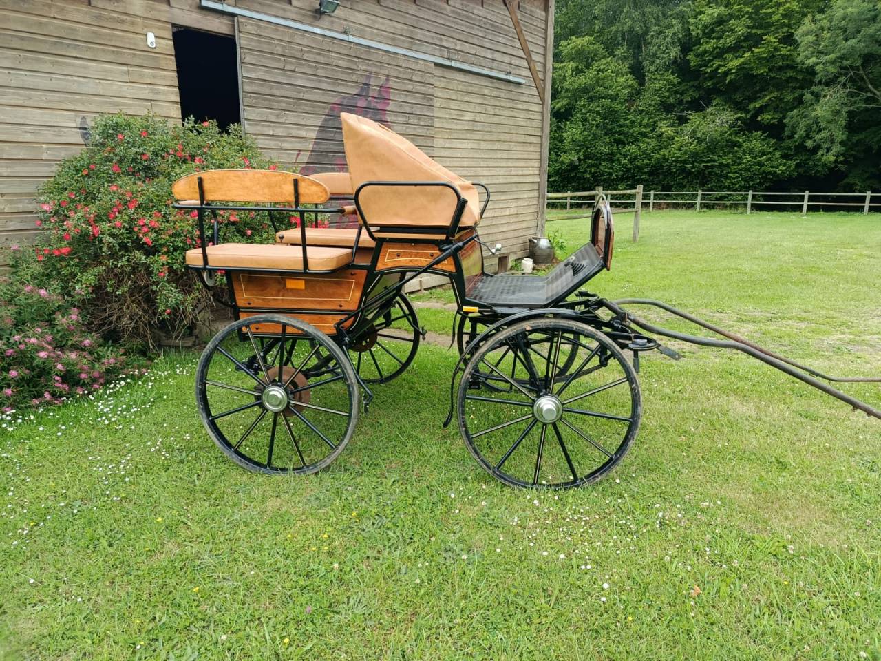 Carriage - Wagonnette - Other brand - Wagonette loisir 