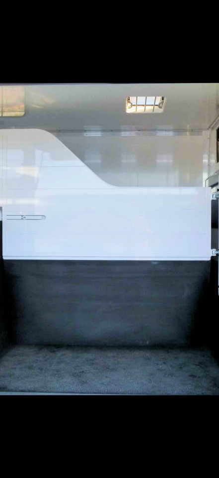 Horsebox HGV Fiat  Ducato 2025 Used