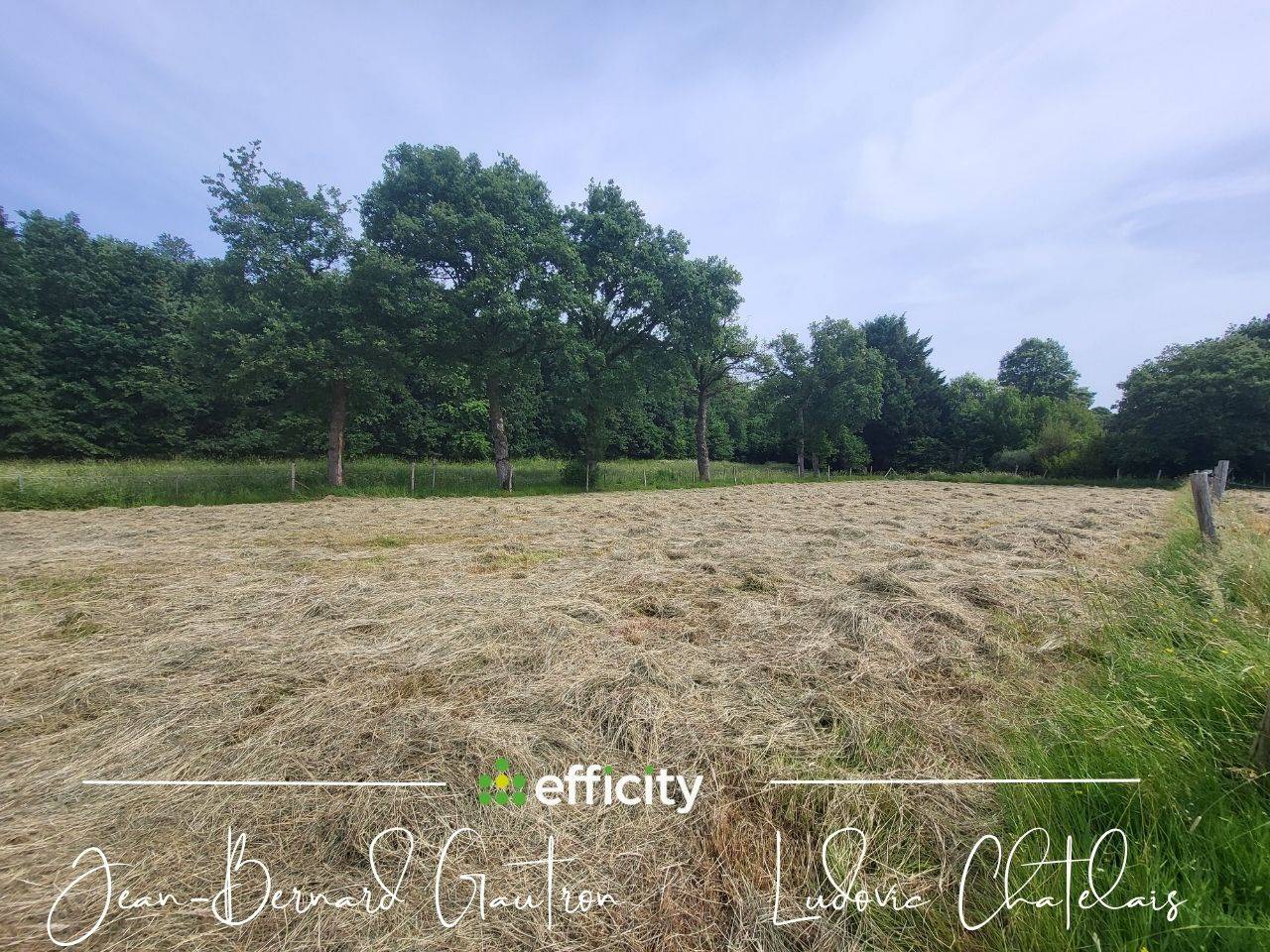 Equestrian property  Ile-et-Vilaine