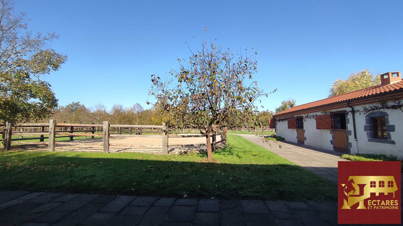 Equestrian Bed and Breakfast  Puy-de-D&ocirc;me