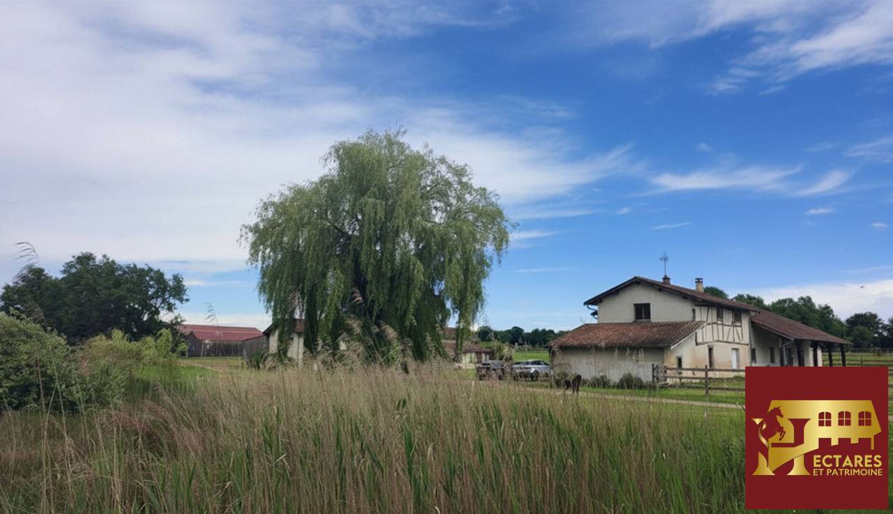 Equestrian property  Ain