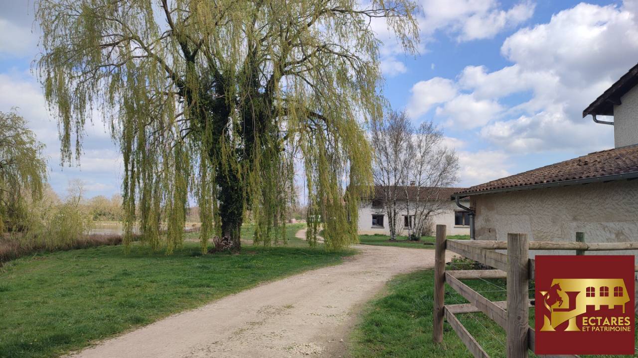Equestrian property  Ain