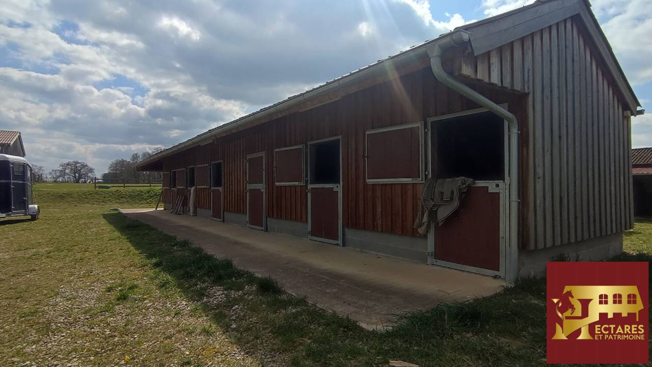 Equestrian property  Ain