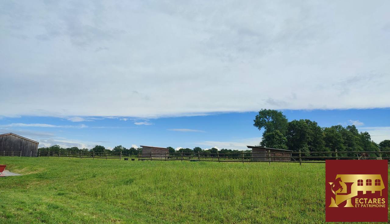 Equestrian property  Ain