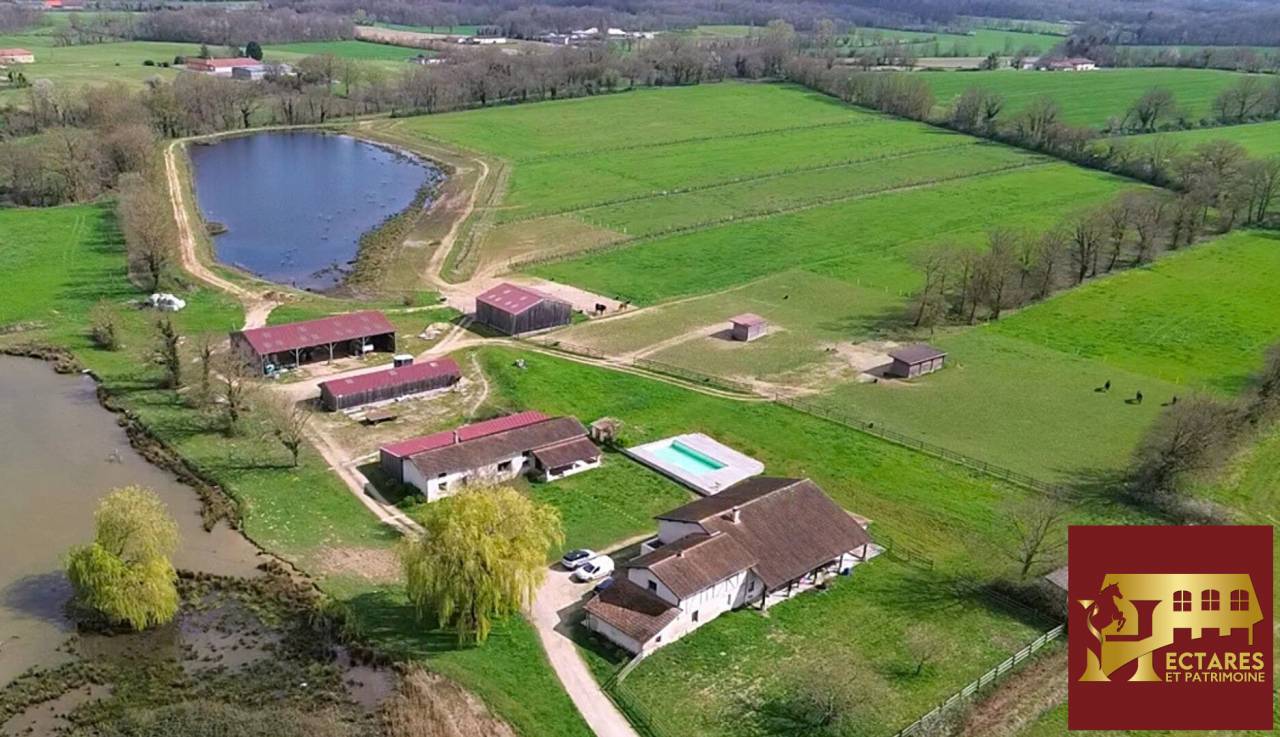 Equestrian property  Ain