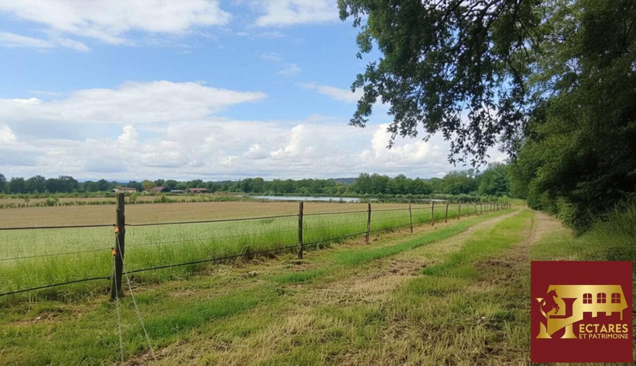 Equestrian property  Ain