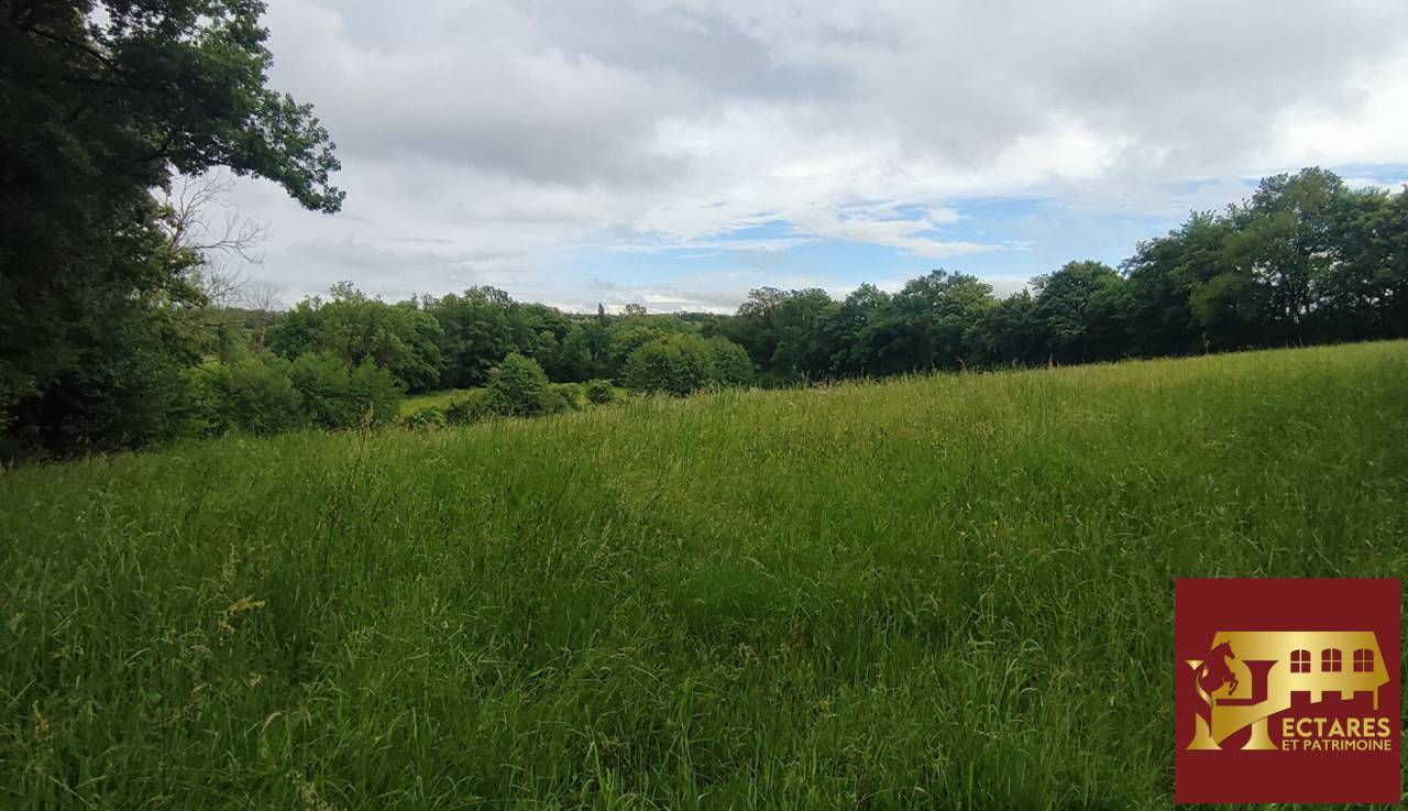 Equestrian property  Ain