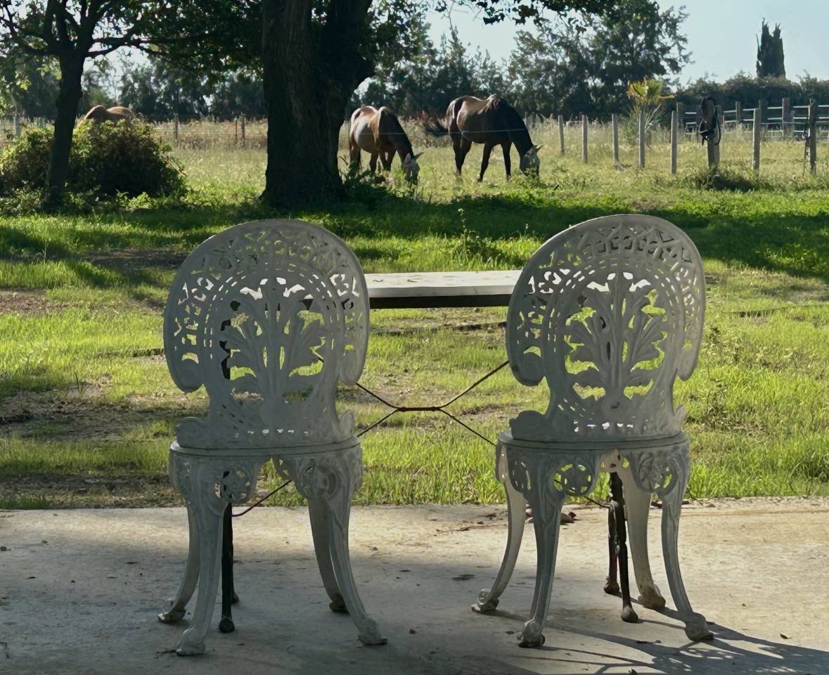 Equestrian property  Pyr&eacute;n&eacute;es-Orientales