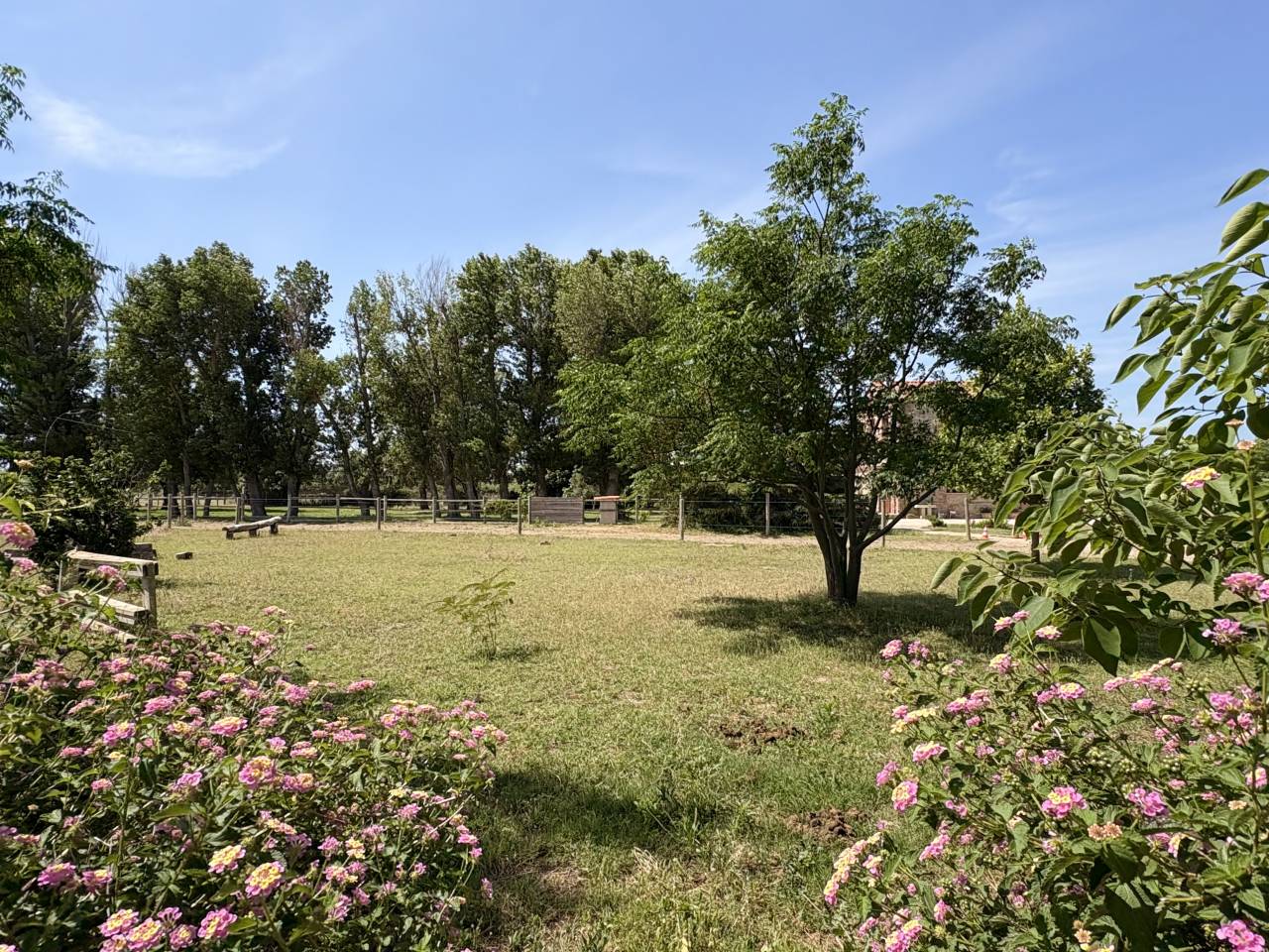 Equestrian property  Pyr&eacute;n&eacute;es-Orientales