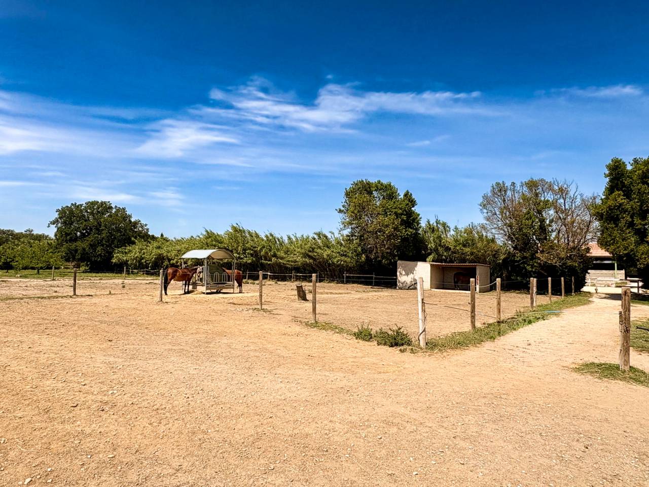 Equestrian property  Pyr&eacute;n&eacute;es-Orientales