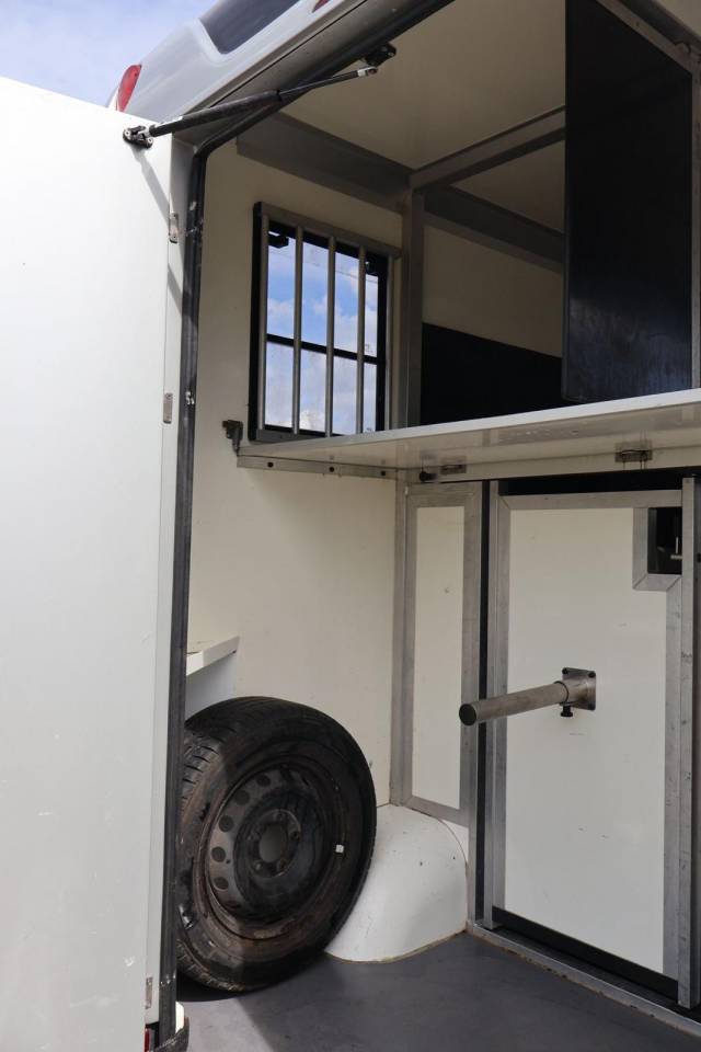 Horsebox HGV STX STX 2017 Used