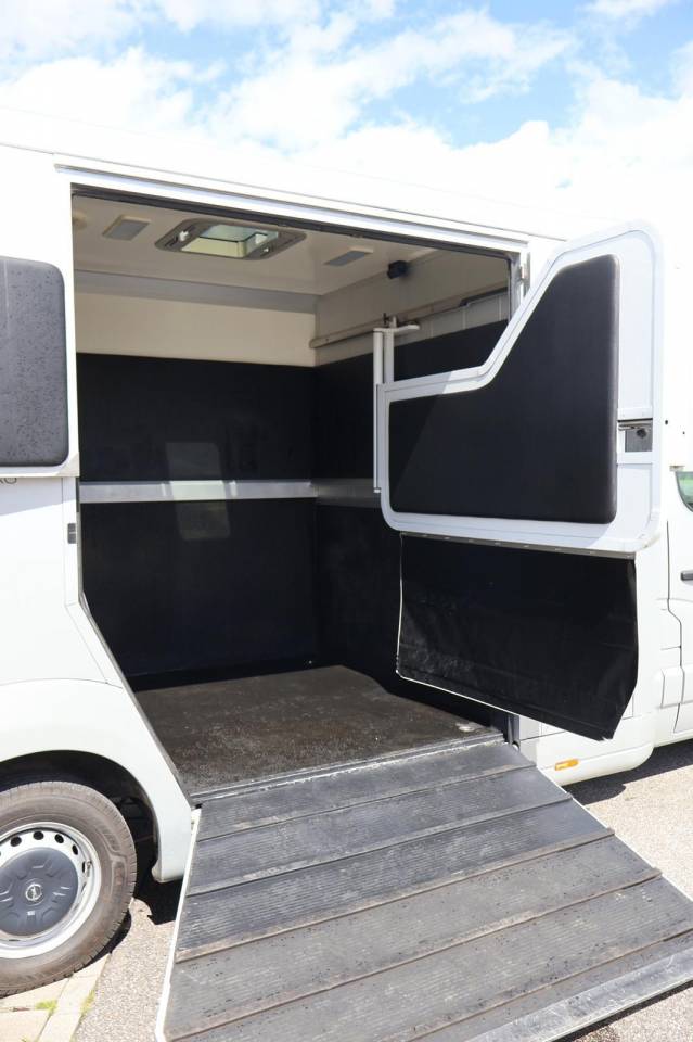 Horsebox HGV STX STX 2017 Used
