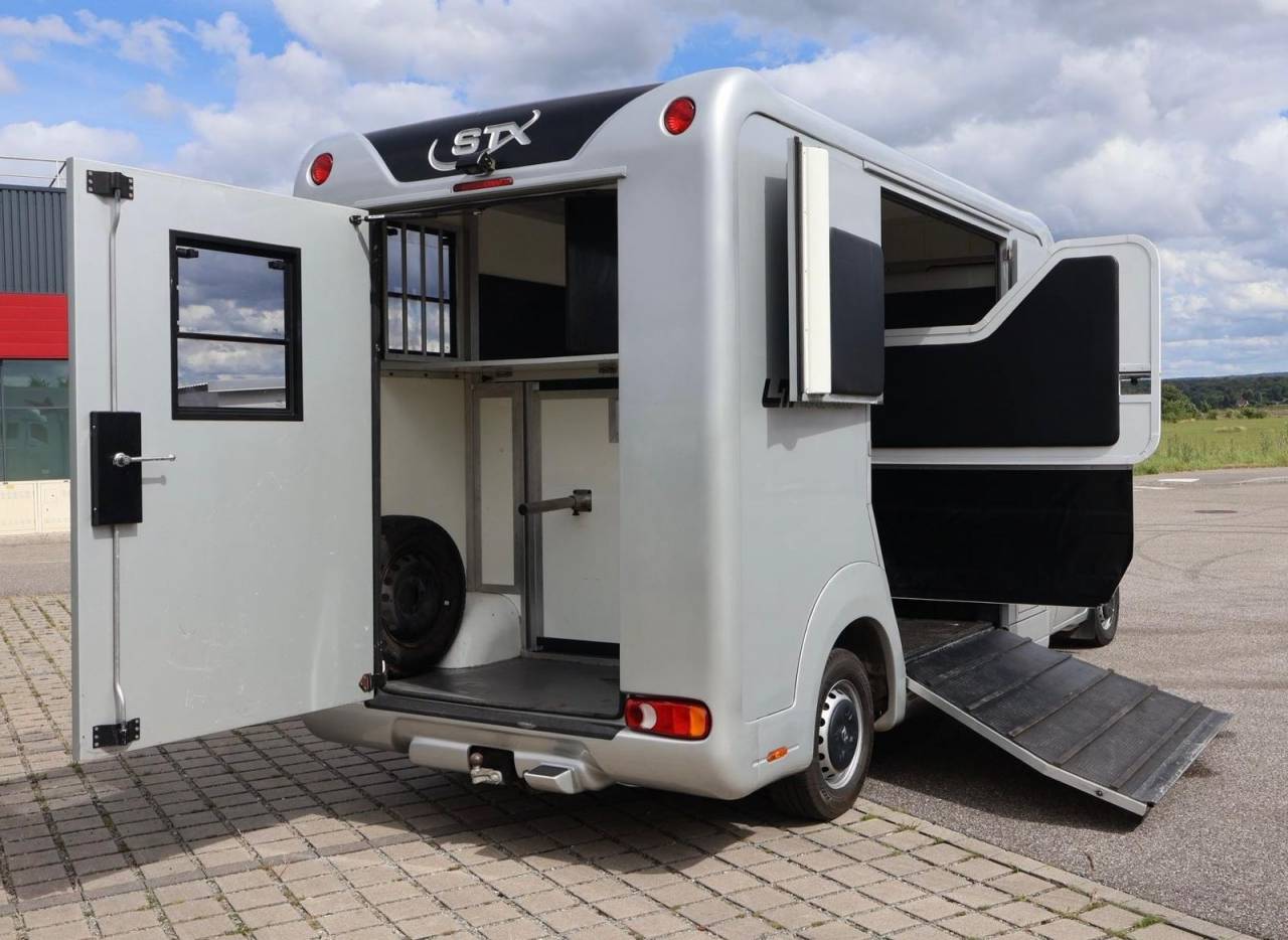Horsebox HGV STX STX 2017 Used