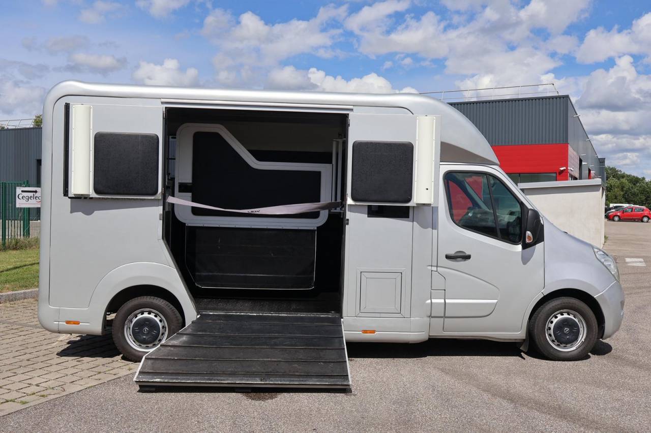 Horsebox HGV STX STX 2017 Used