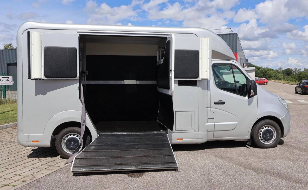 Horsebox HGV STX STX 2017 Used