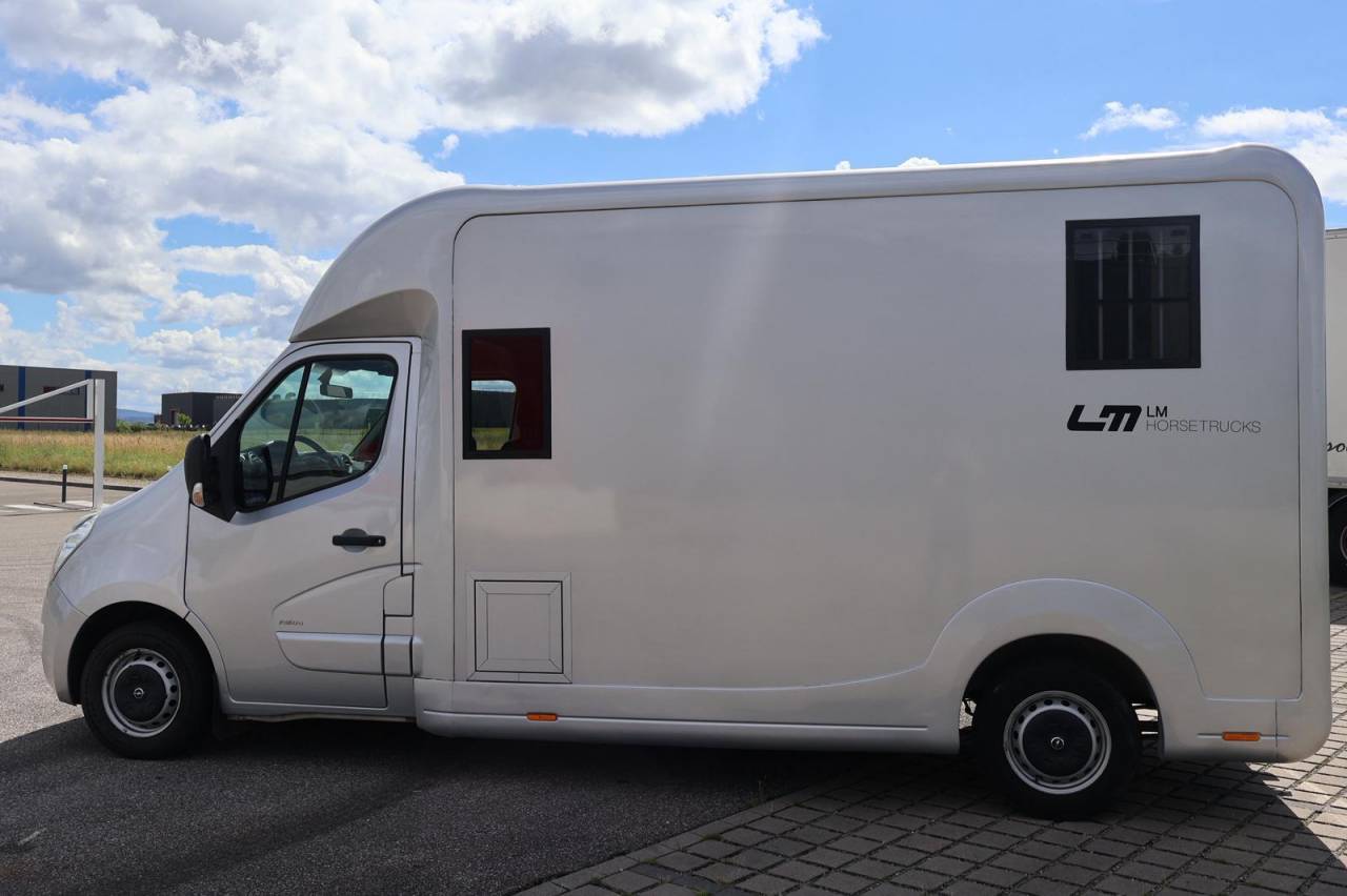 Horsebox HGV STX STX 2017 Used