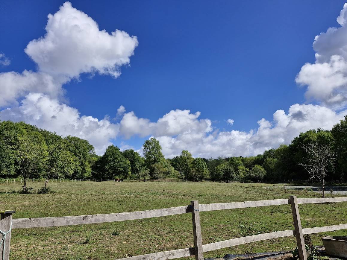 Equestrian property  Charente