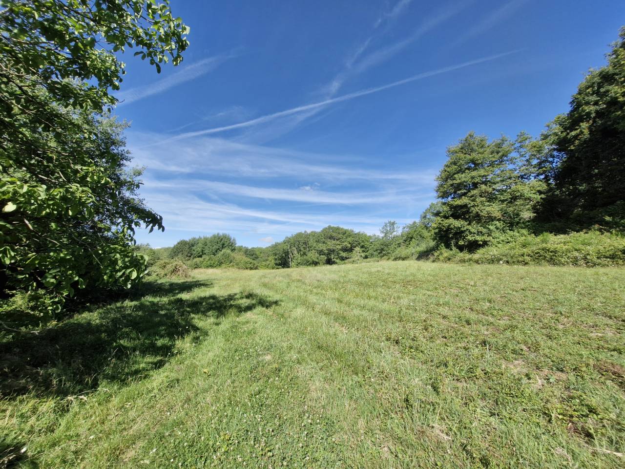 Equestrian property  Charente