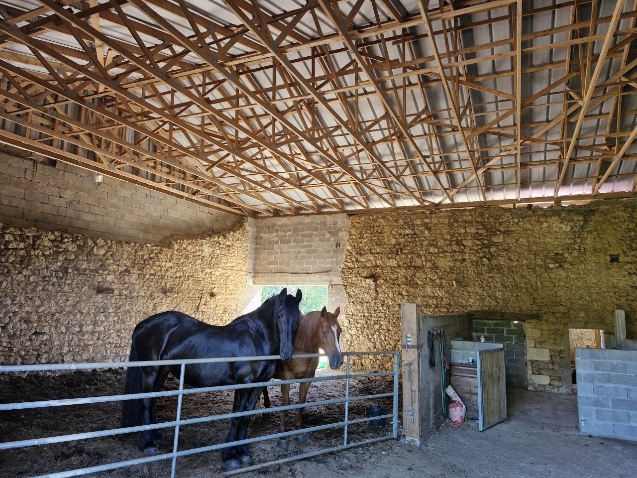 Equestrian property  Charente