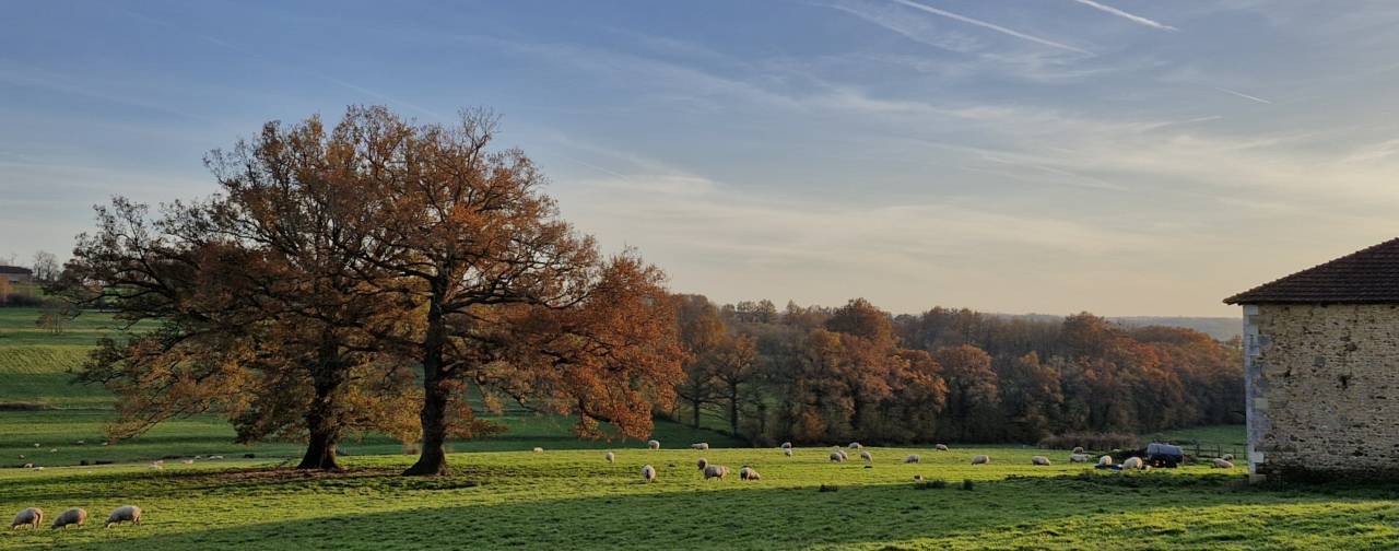 Equestrian property  Charente