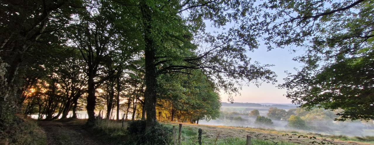 Equestrian property  Charente