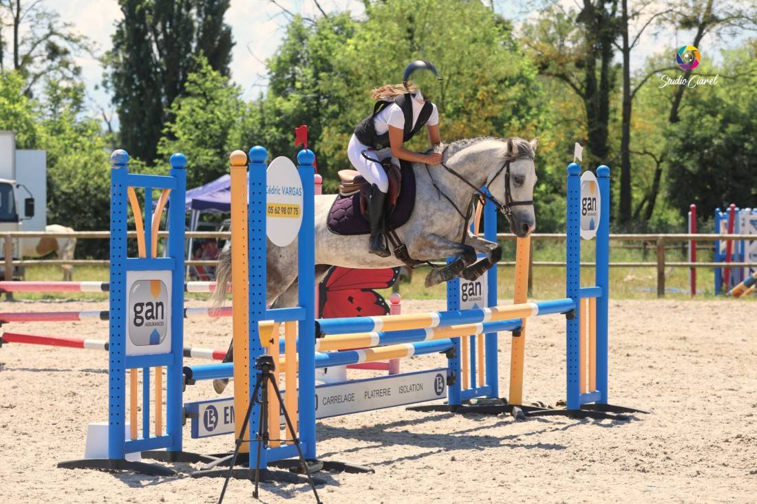 Mare Origin Recorded For sale 2019 Grey