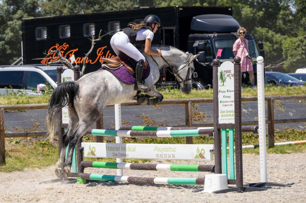 Mare Origin Recorded For sale 2019 Grey