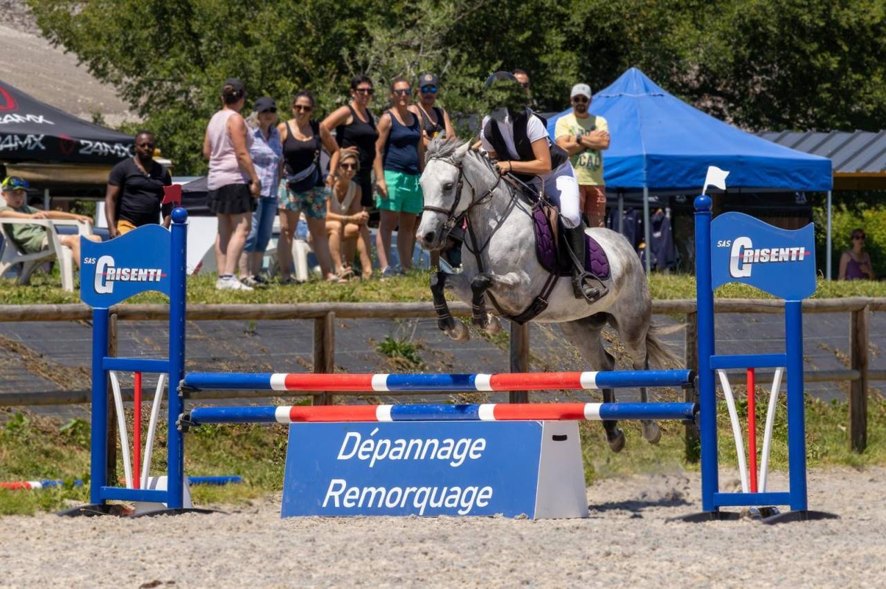 Mare Origin Recorded For sale 2019 Grey