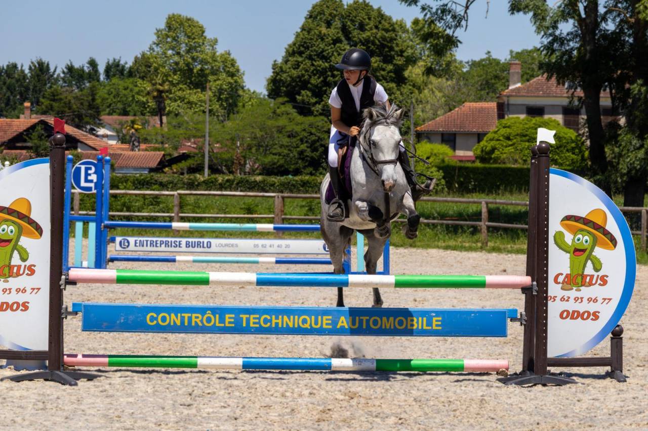 Mare Origin Recorded For sale 2019 Grey