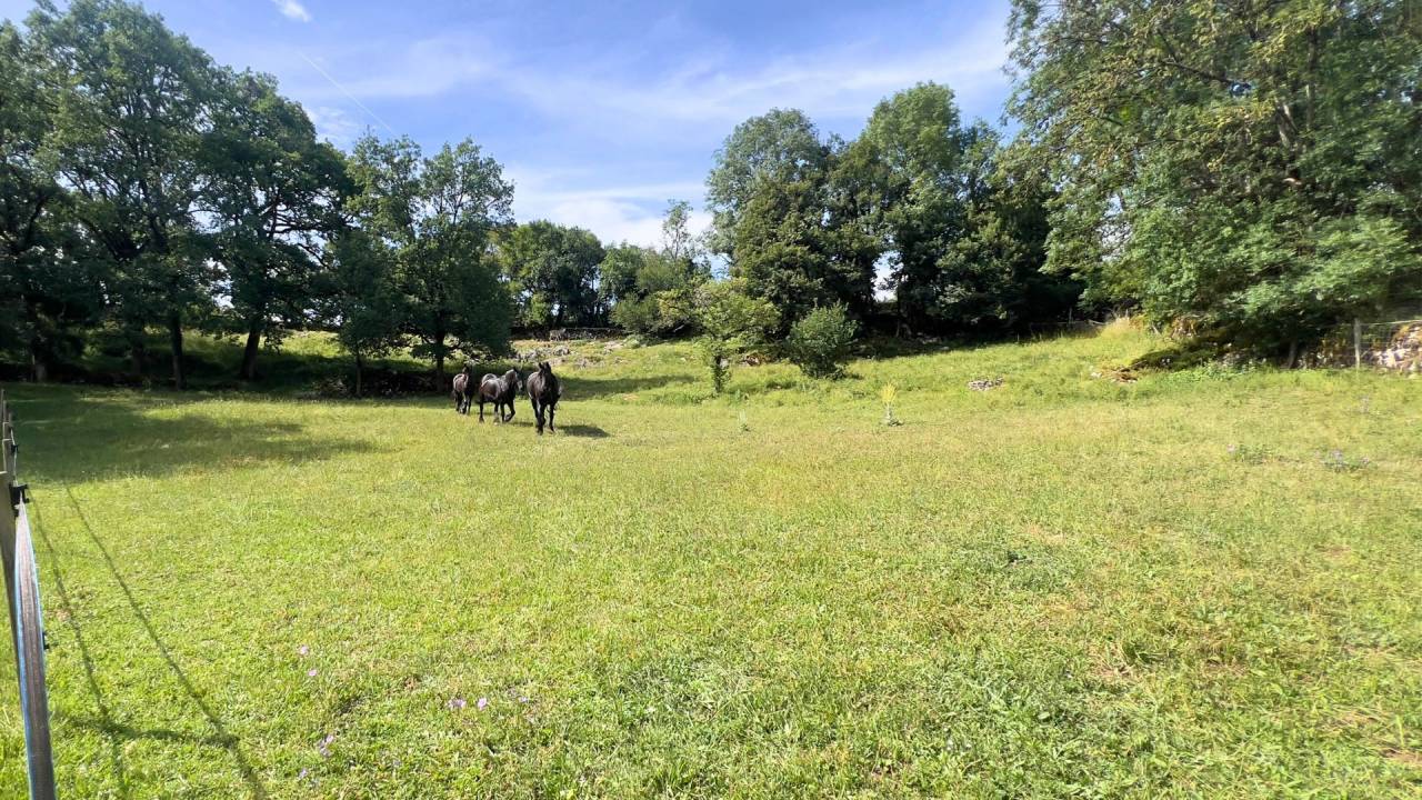 Holiday equestrian property  Lot
