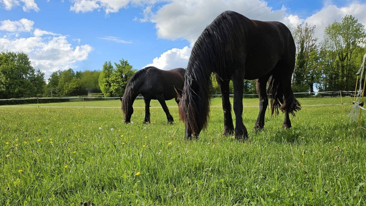 Holiday equestrian property  Lot