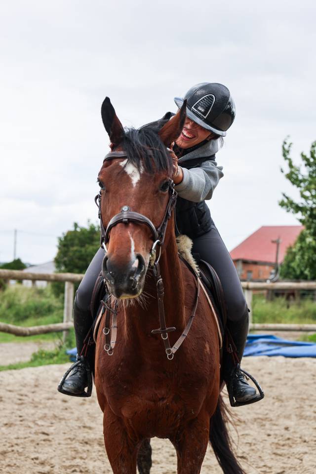 Gelding Thoroughbred For sale 2021 Bay