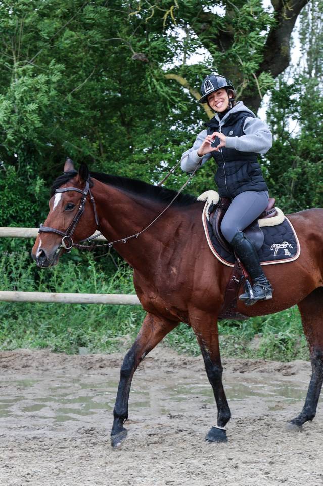 Gelding Thoroughbred For sale 2021 Bay