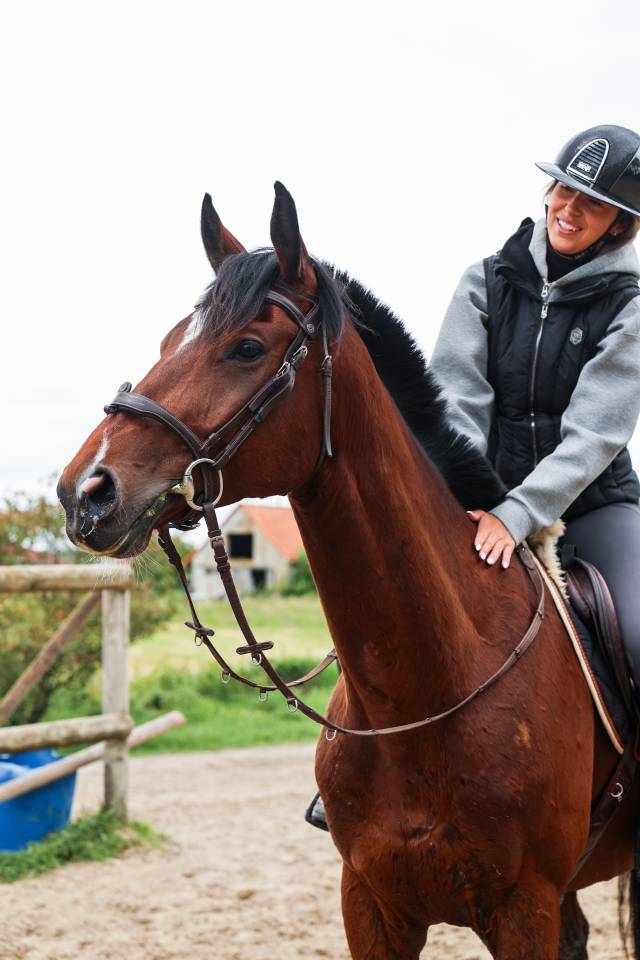 Gelding Thoroughbred For sale 2021 Bay